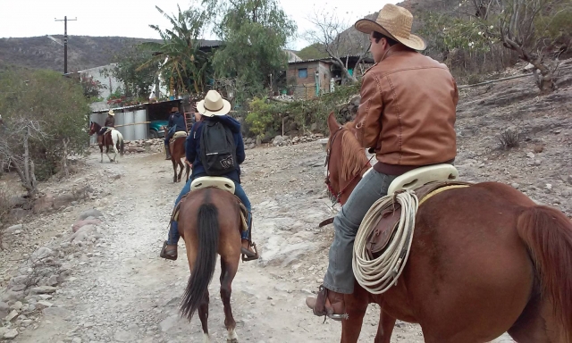  Fai il tour a cavallo 